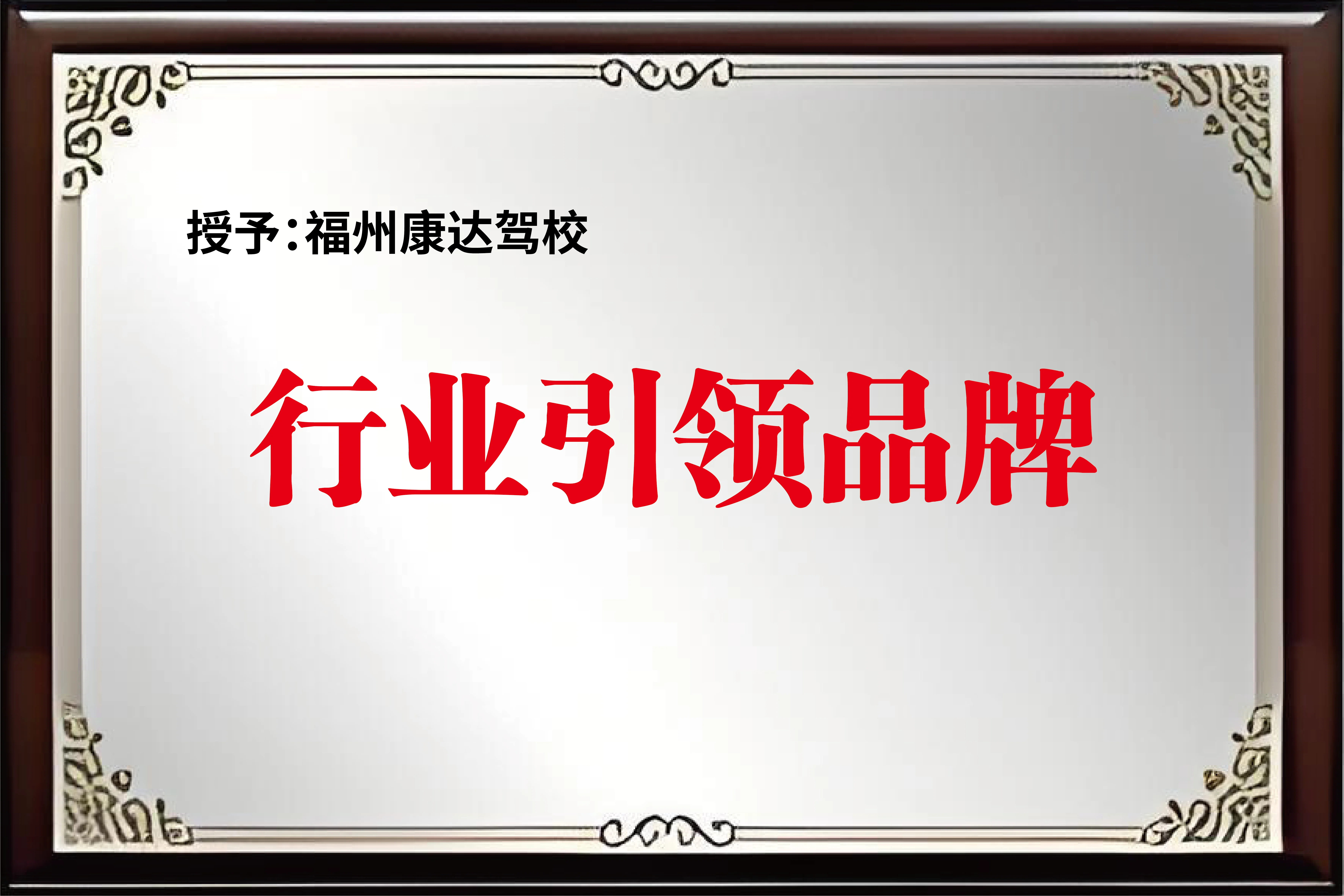 行业引领品牌
